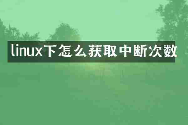 linux下怎么获取中断次数