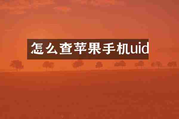怎么查苹果手机uid