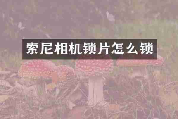 相机锁片怎么锁