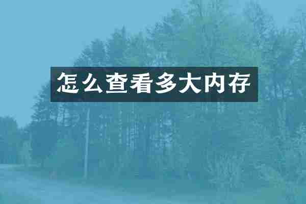 怎么查看多大内存