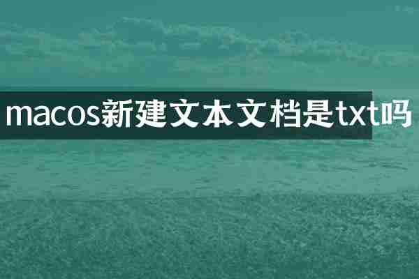 macos新建文本文档是txt吗