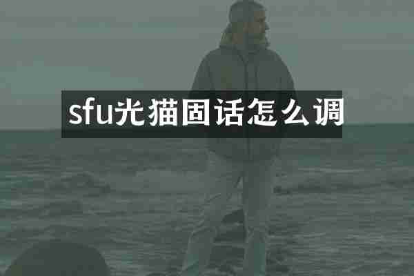 sfu光猫固话怎么调