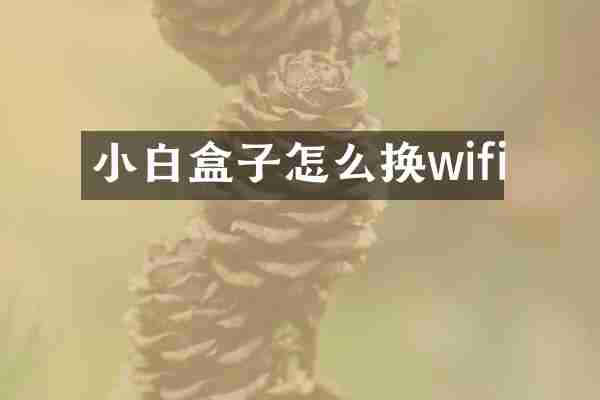 小白盒子怎么换wifi