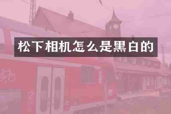 相机怎么是黑白的