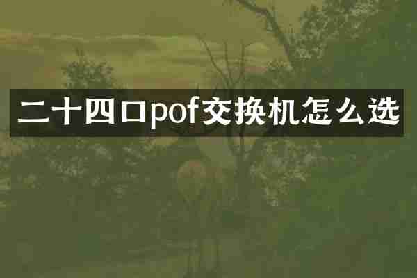 二十四口pof交换机怎么选