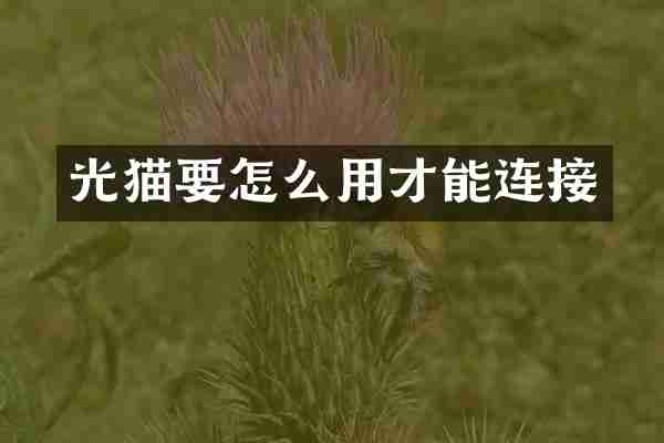 光猫要怎么用才能连接