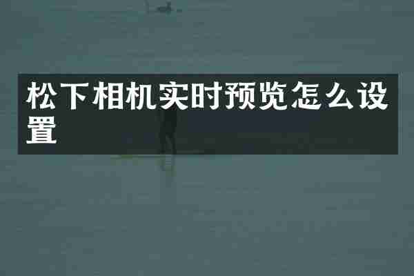 相机实时预览怎么设置