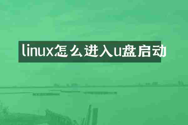 linux怎么进入u盘启动