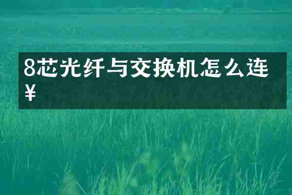 8芯光纤与交换机怎么连接