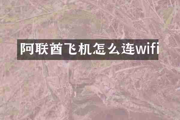 阿联酋飞机怎么连wifi