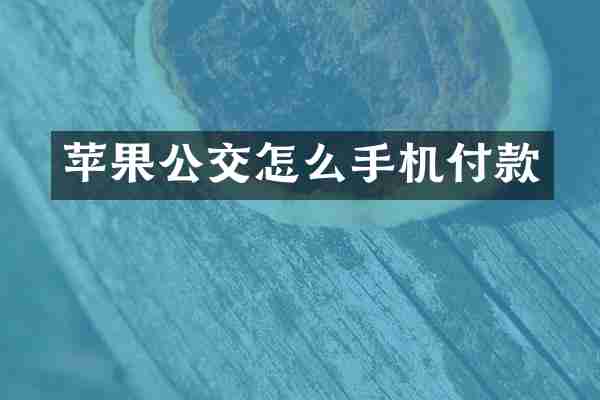 苹果公交怎么手机付款