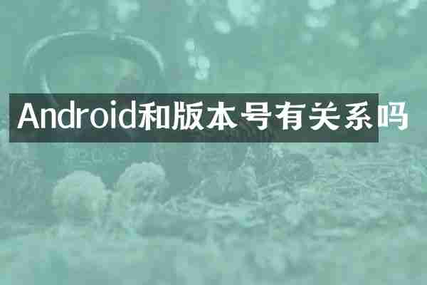 Android和版本号有关系吗