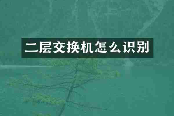 二层交换机怎么识别