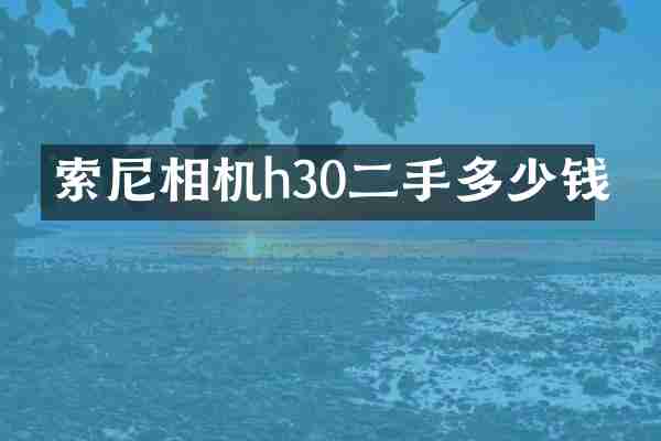 相机h30二手多少钱