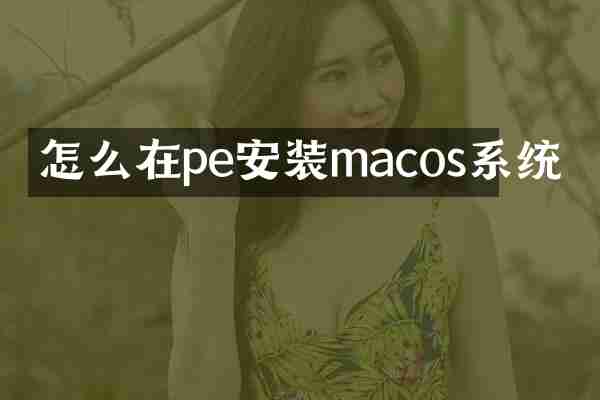 怎么在pe安装macos系统