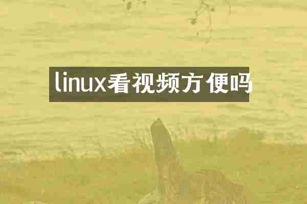 linux看视频方便吗