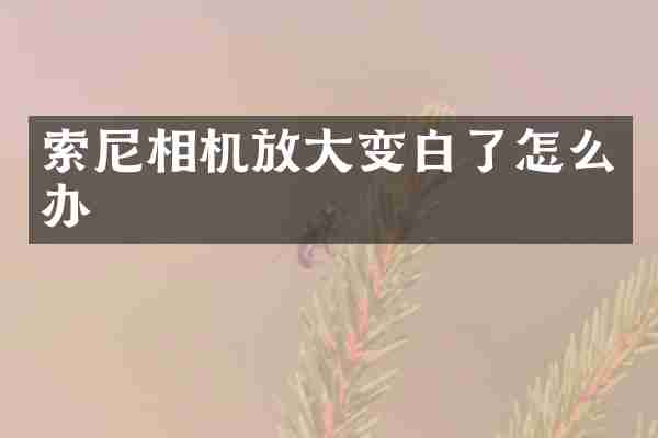 相机放大变白了怎么办