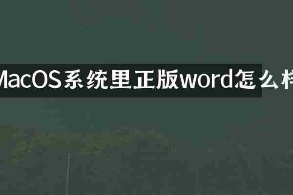 MacOS系统里正版word怎么样