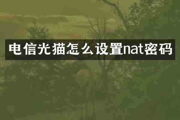电信光猫怎么设置nat密码
