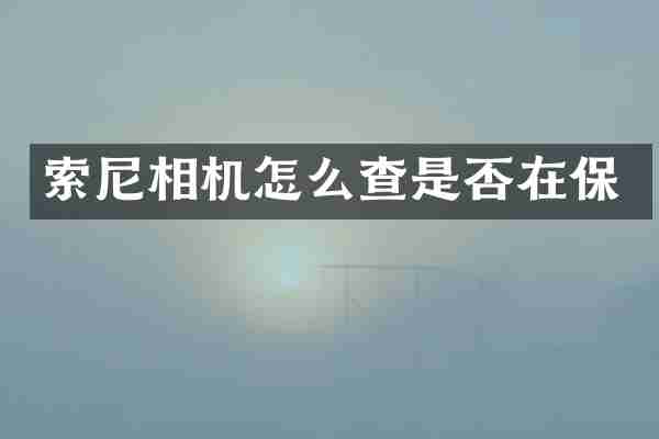 相机怎么查是否在保