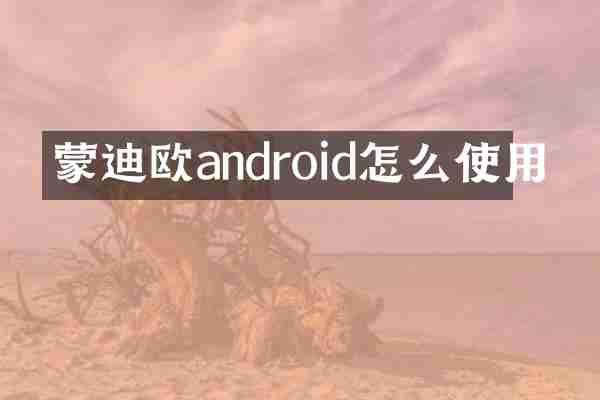 蒙迪欧android怎么使用