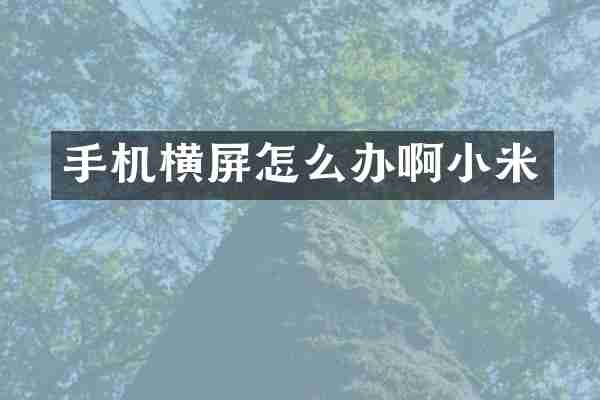 手机横屏怎么办啊小米