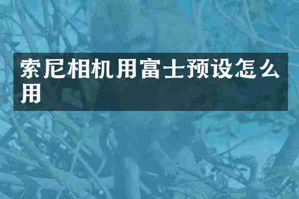 相机用富士预设怎么用