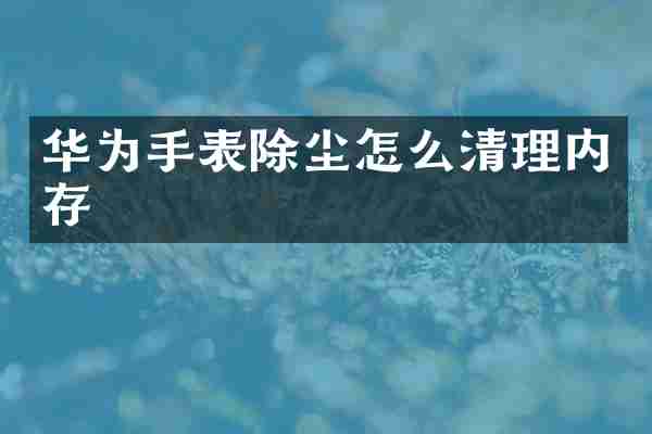 华为手表除尘怎么清理内存