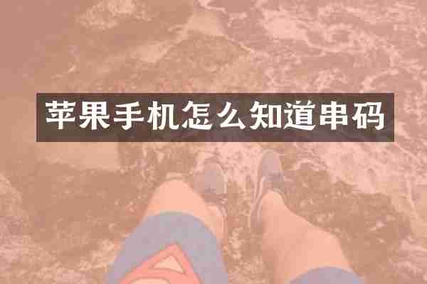 苹果手机怎么知道串码