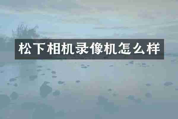 相机录像机怎么样