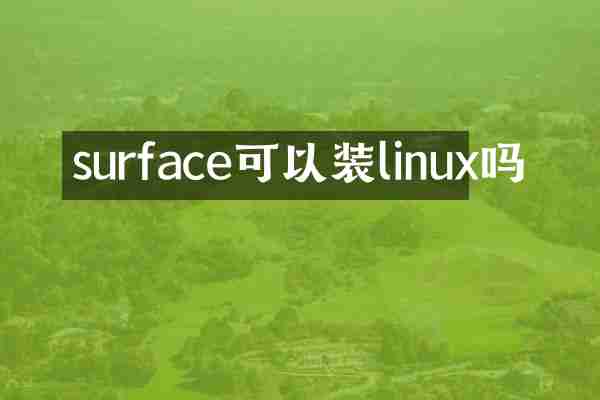 surface可以装linux吗