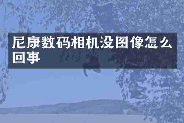 尼康数码相机没图像怎么回事