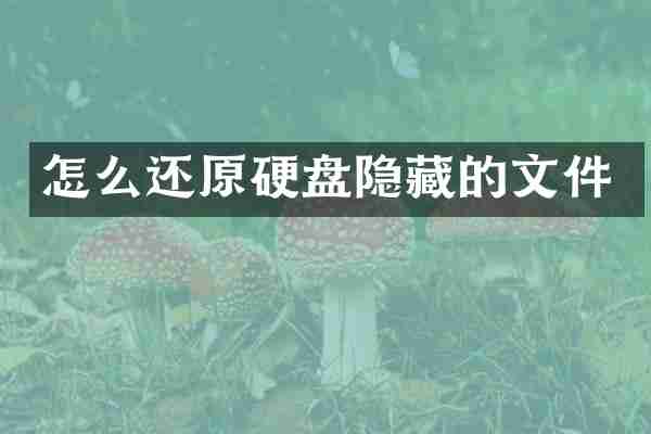 怎么还原硬盘隐藏的文件