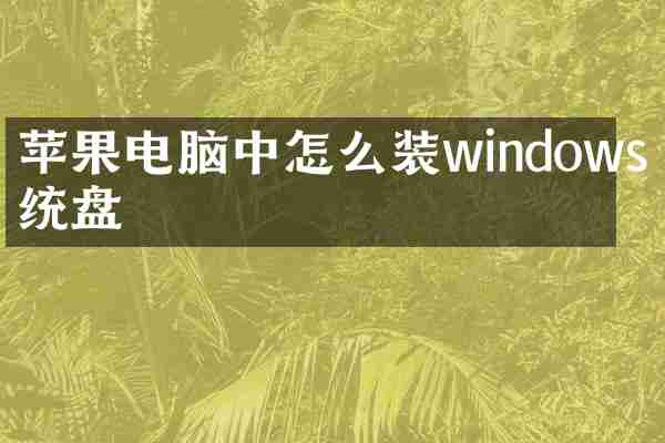 苹果电脑中怎么装windows系统盘