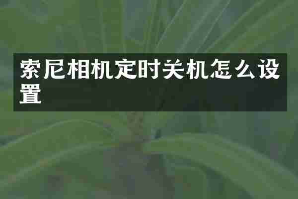 相机定时关机怎么设置