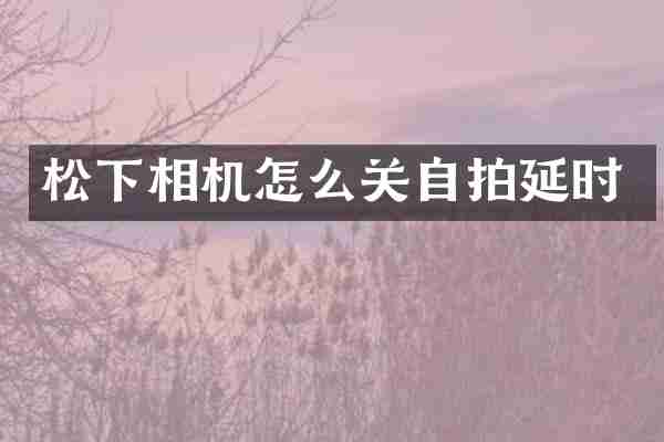 相机怎么关延时