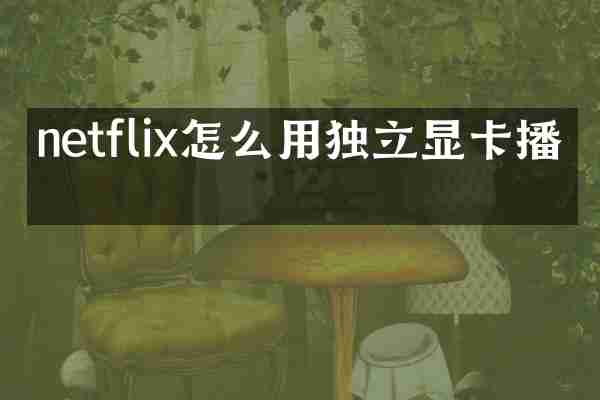 netflix怎么用独立显卡播放