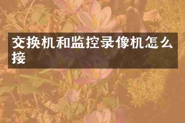 交换机和监控录像机怎么接
