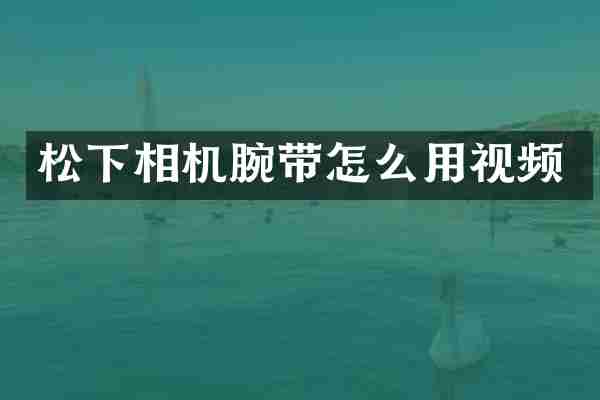 相机腕带怎么用视频