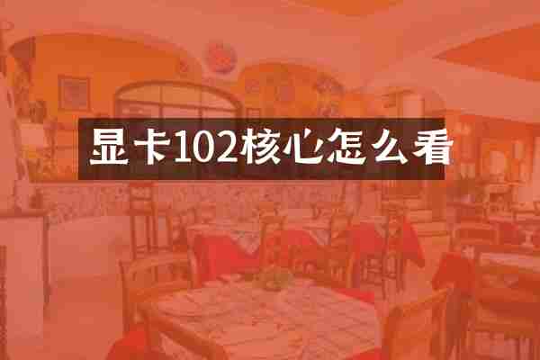 显卡102核心怎么看