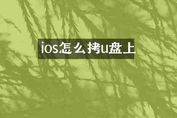 ios怎么拷u盘上