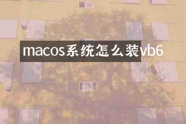 macos系统怎么装vb6