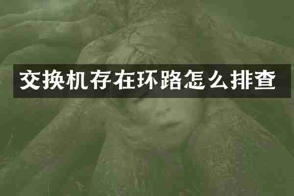 交换机存在环路怎么排查