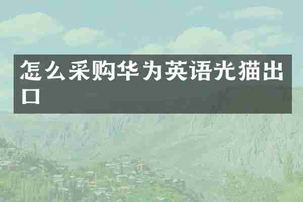 怎么采购华为英语光猫出口