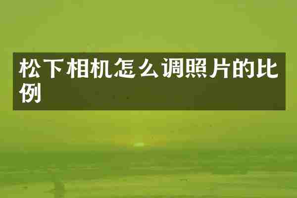 松下相机怎么调照片的比例