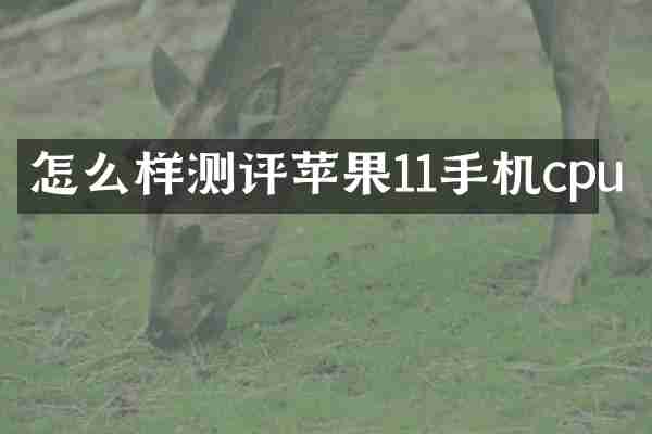 怎么样测评苹果11手机cpu