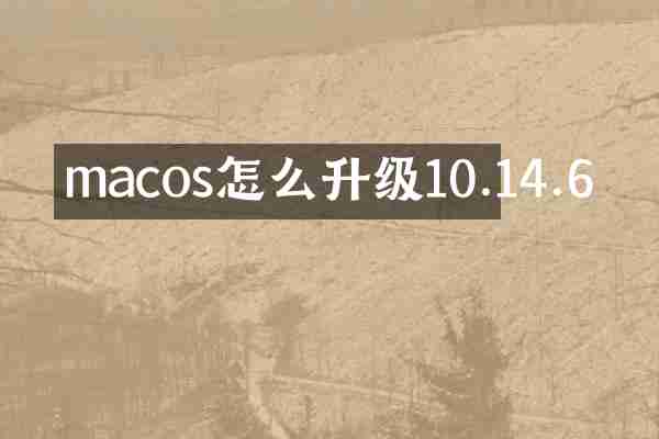 macos怎么升级10.14.6