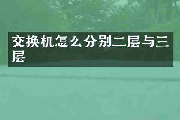 交换机怎么分别二层与三层