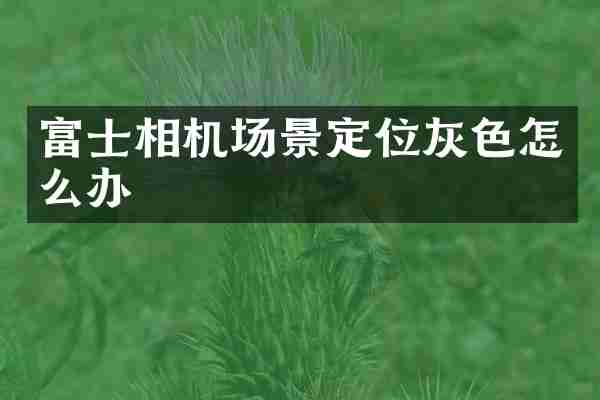富士相机场景定位灰色怎么办