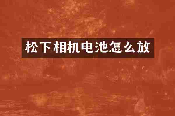 松下相机电池怎么放
